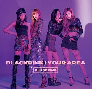 BLACKPINK东京巨蛋演唱会爆满，一项数据引起不雅寡留意！