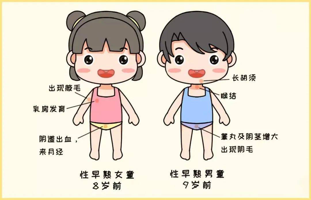 教育_食物_运动