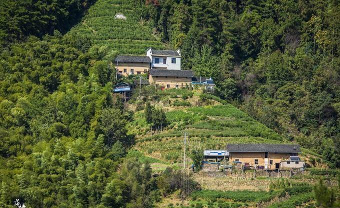 安徽歙县有一座千年古村,位于高山之上,深受自驾爱好者喜爱_竹岭_建筑