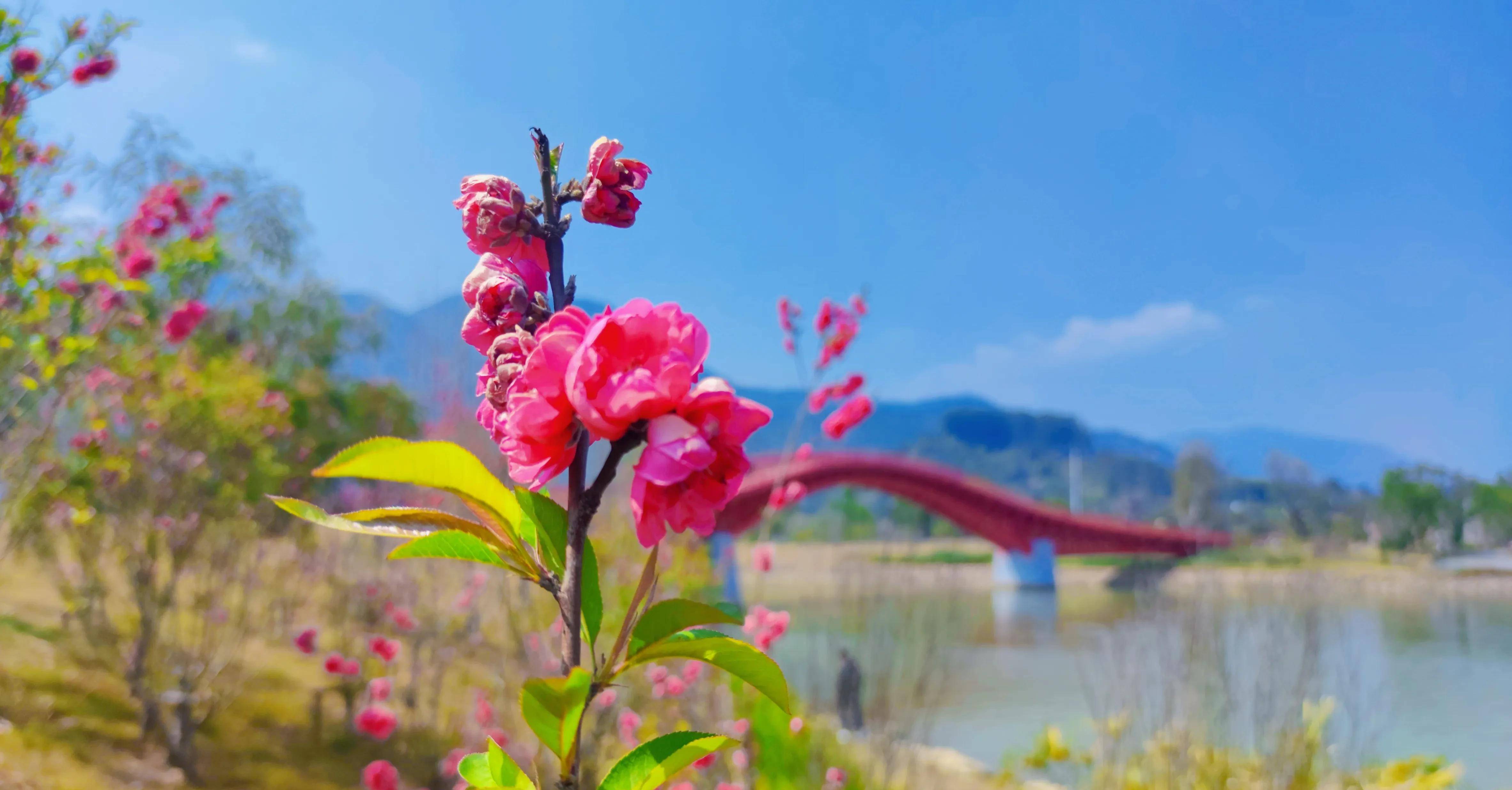 旗山湖公园有啥好玩的图片