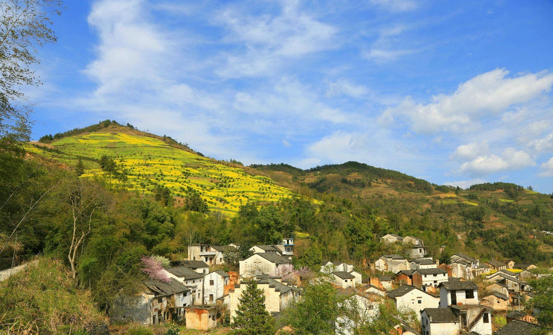 走进皖南小山村,满山油菜花和桃花即将盛开,一幅春天的唯美画卷