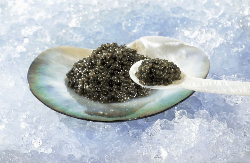 那时的人们,已经会先把鲟鳇鱼肉做成腌鱼或鱼生,生拌吃;再把鱼籽拿