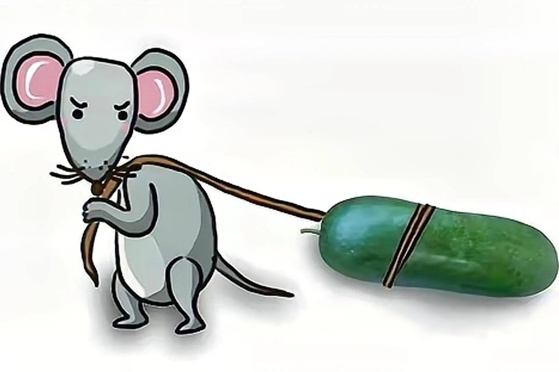 老鼠拉冬瓜是农村野果,认识并吃过它的人不多,你是其中之一吗?