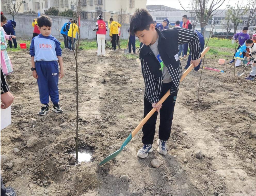 泰州寺巷街道:共植一抹新绿 播撒文明新风_活动_绿色家园_义务