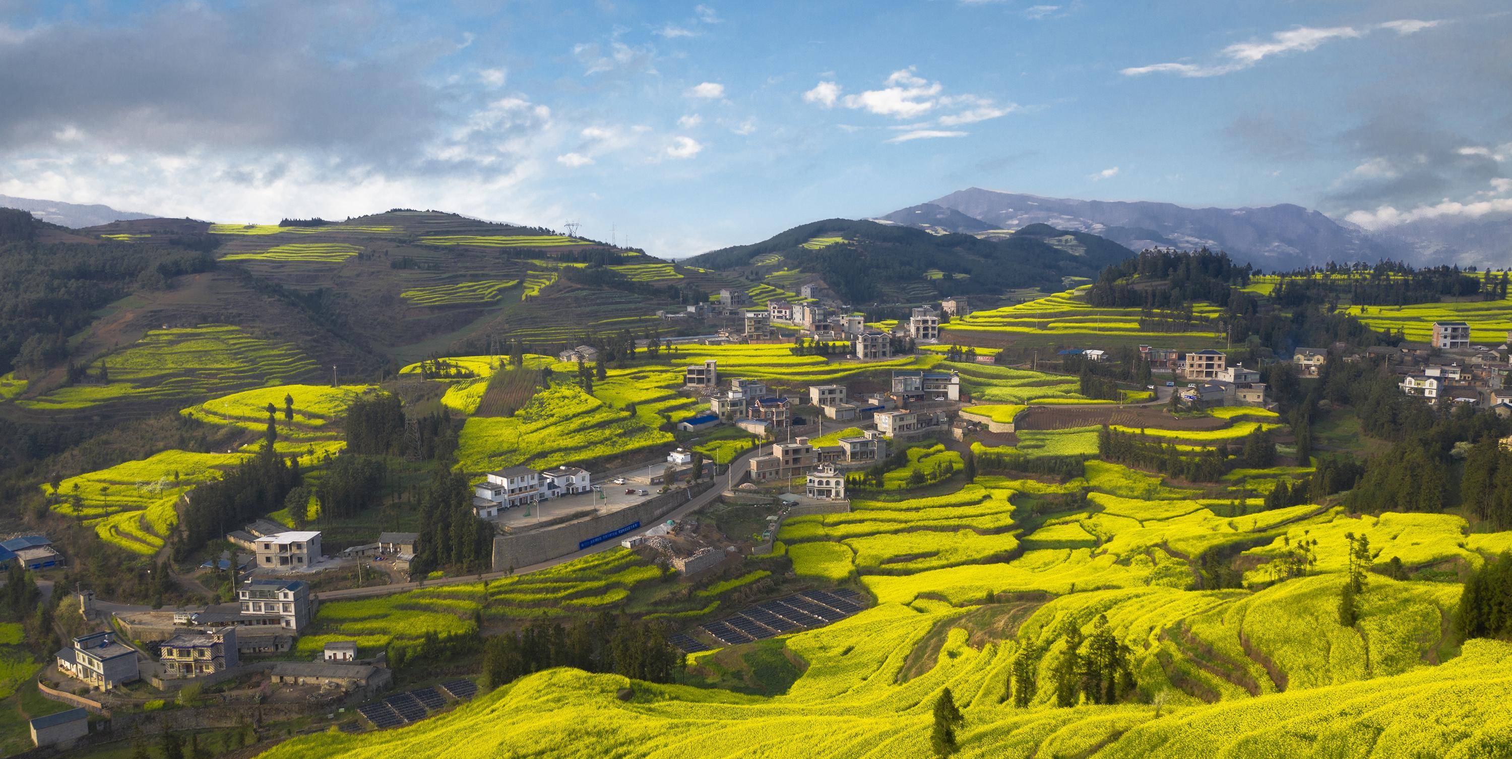 早春二月,风景这边独好,云南罗平油菜花海旅拍_牛街_金鸡_马街