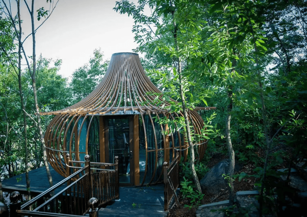 鸟巢树屋民宿落地事发赏析_项目_寓意_客户