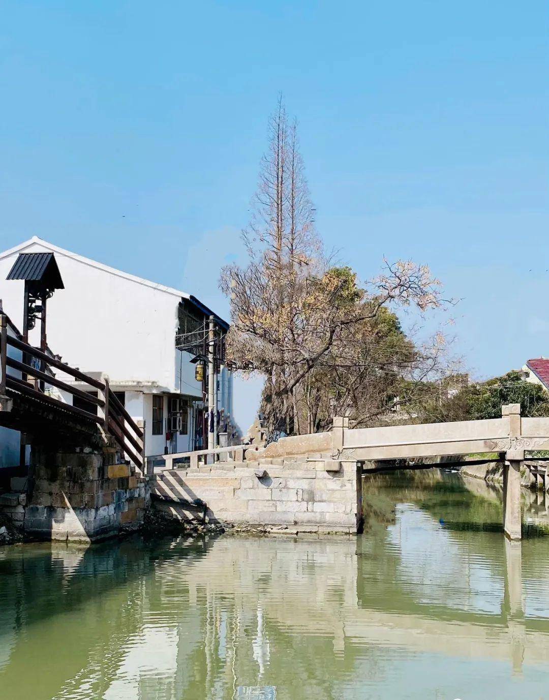 花米庄行(奉贤庄行南桥塘历史文化风貌区)_花田_油菜花_老街