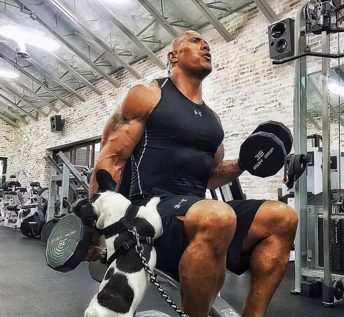 巨石强森解释为何他只有5块半腹肌?