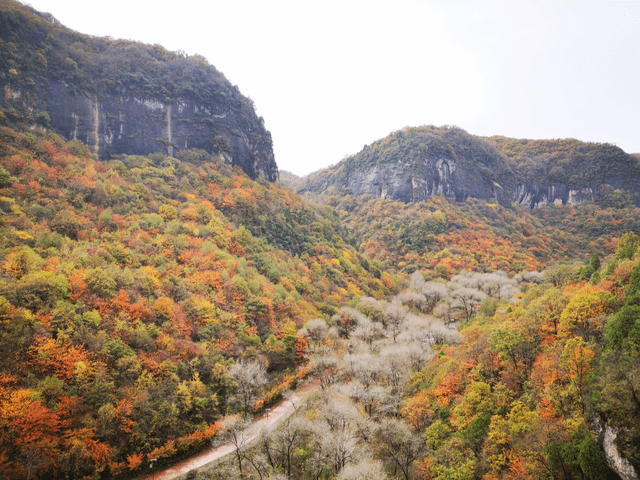铜川溪山胜境景区3月18日开园啦!9.9元抢超值预售票!