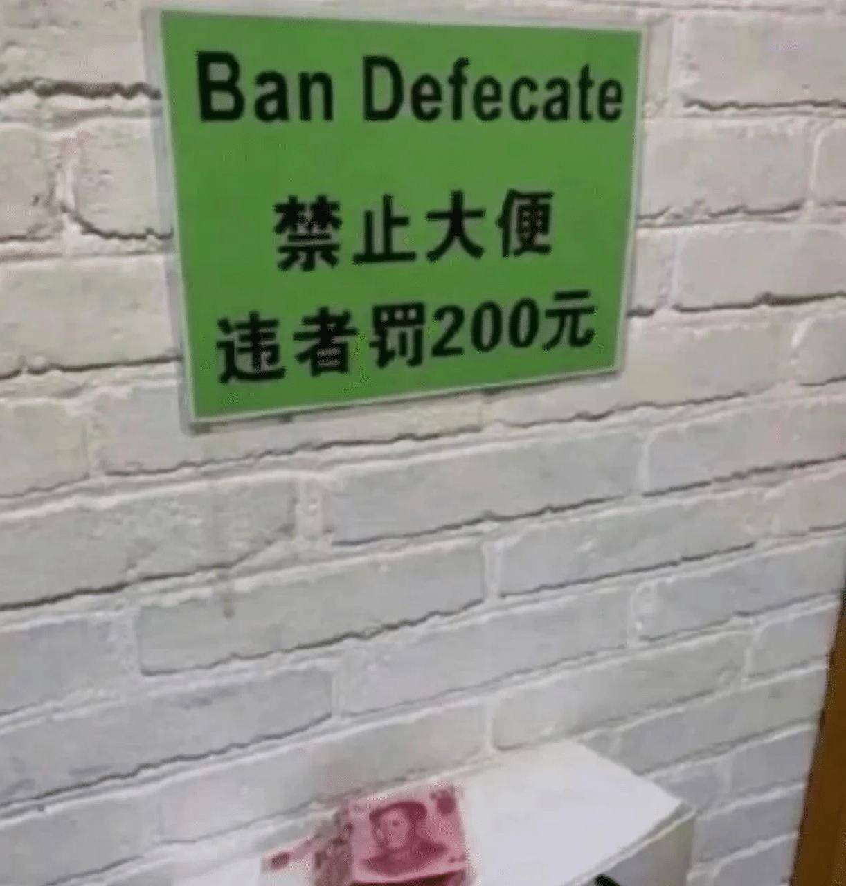 "有钱就是任性!哈哈哈_妹子_什么_妹妹