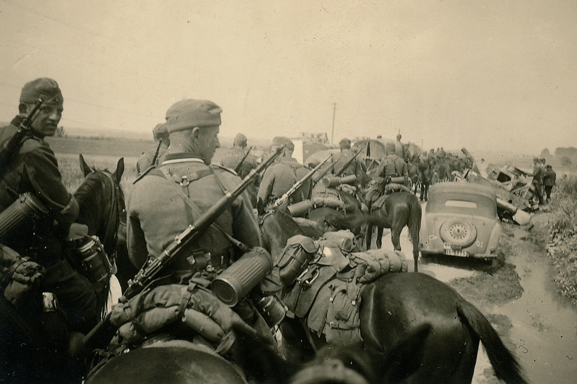 德国自诩是罗马正统？是不是正统不知道，但骡马和毛驴是真不少_搜狐网