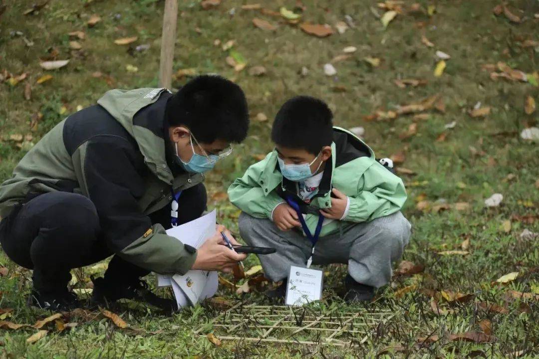 绿野之窗 植物生物多样性调查