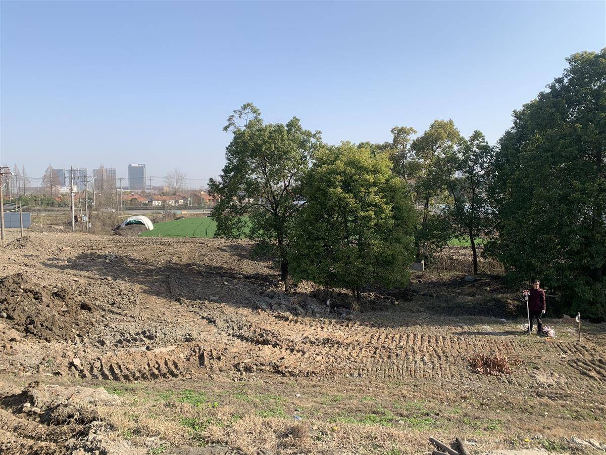 闲置地正在改造中为加快辖区生态化建设步伐,东西湖区走马岭街全面