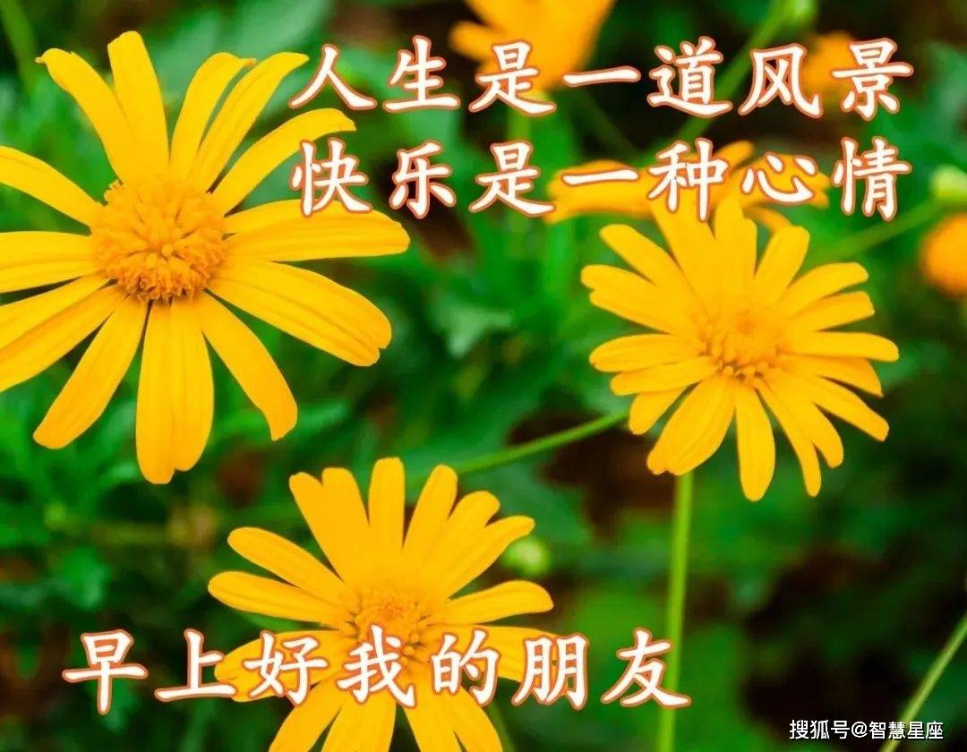 最美的早安问候图片表情带字 朋友群发的漂亮的早上好表情图片问候