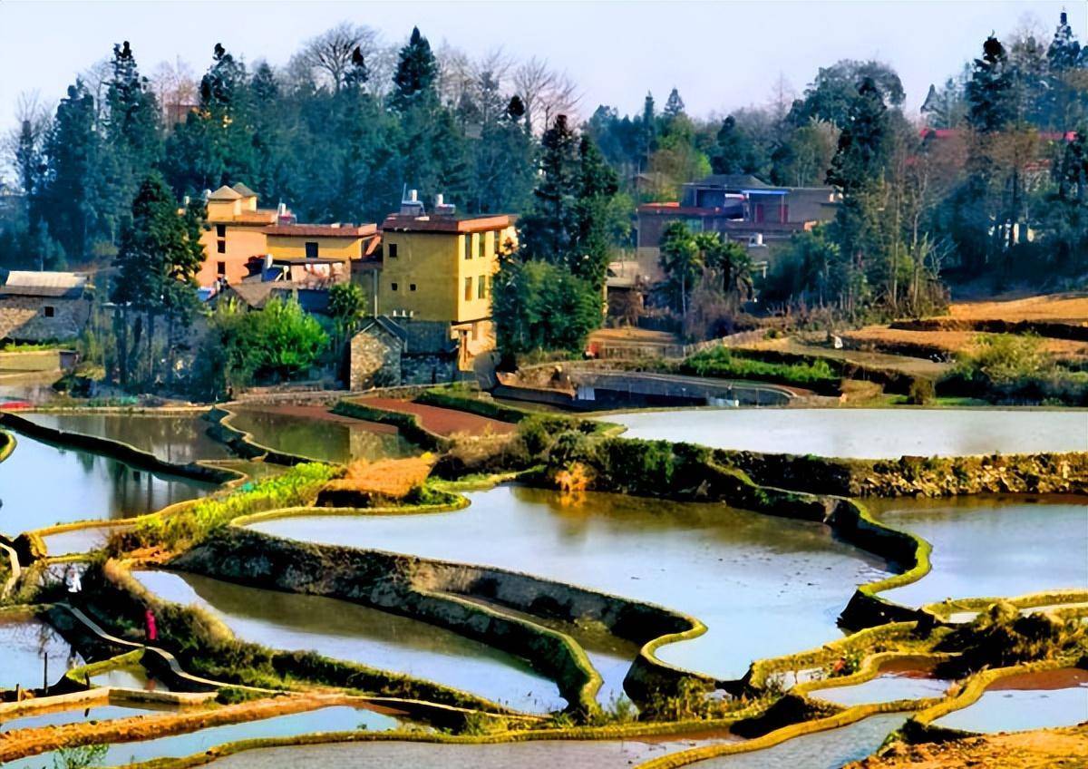 云南旅游:元阳哈尼梯田全景大扫描(图)_摄影_冯赣勇_箐口