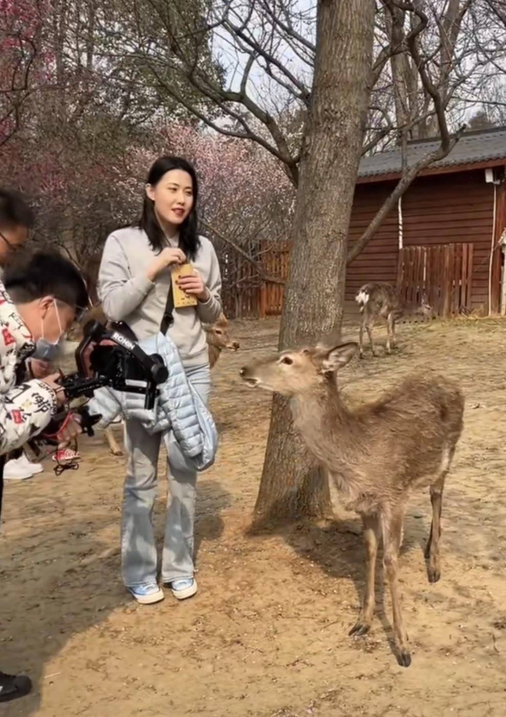 女主持人出游无滤镜:郑琳广州踏浪,万蒂妮看历史,杨蕾好酒量_杨蕾和
