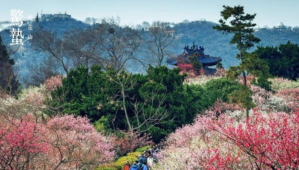 最美三月,讓我們赴一場詩意之約_太湖_風景區_旅遊