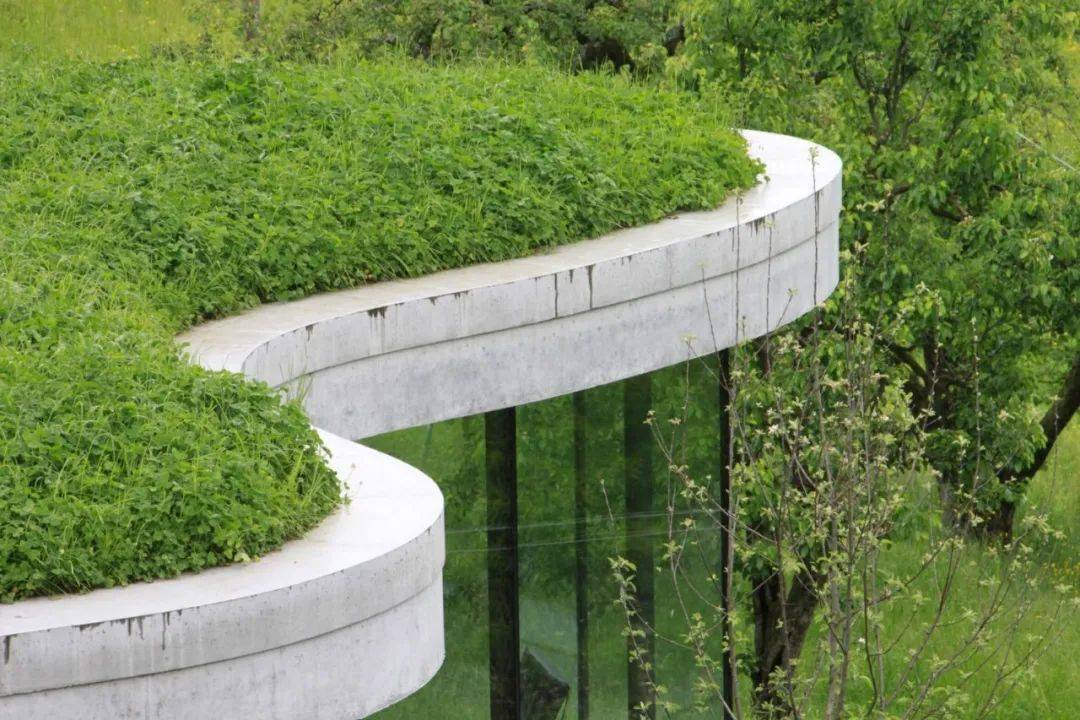 martin gruber | 有机建筑,融于自然