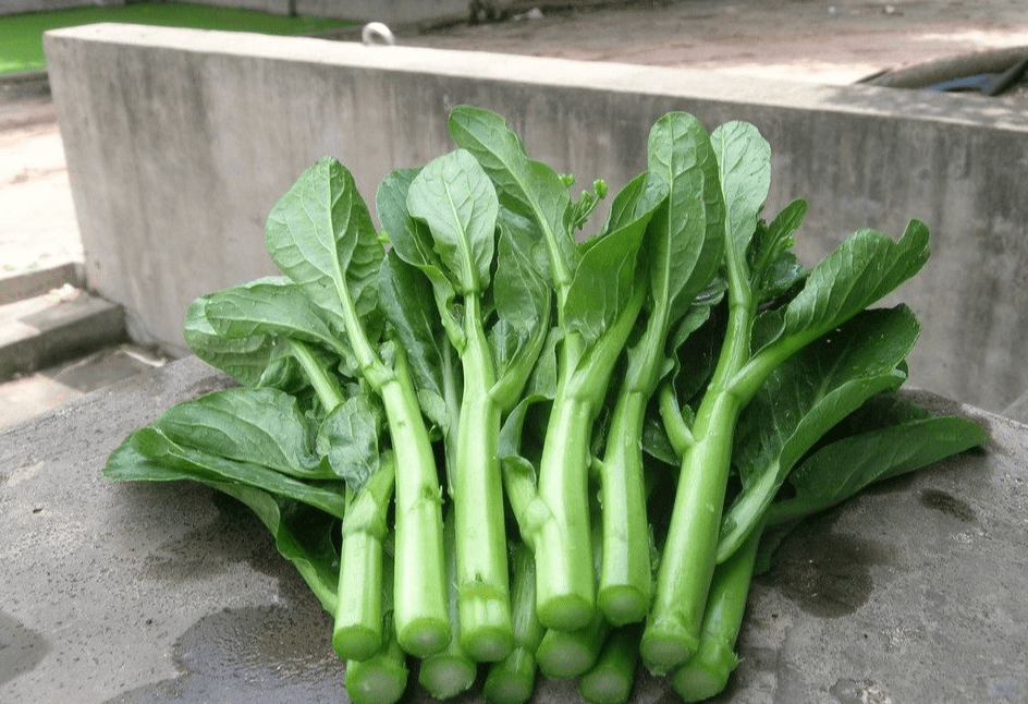 当地人眼里的青菜可不一定是青菜