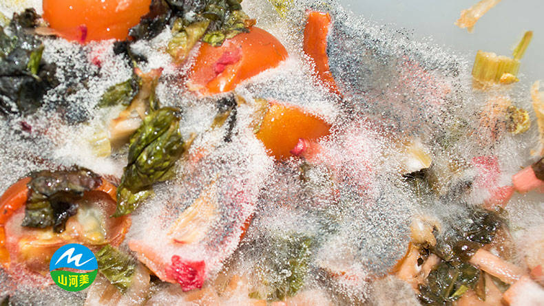 厨余垃圾发酵水发臭如何处理?_生物_治理_除臭剂