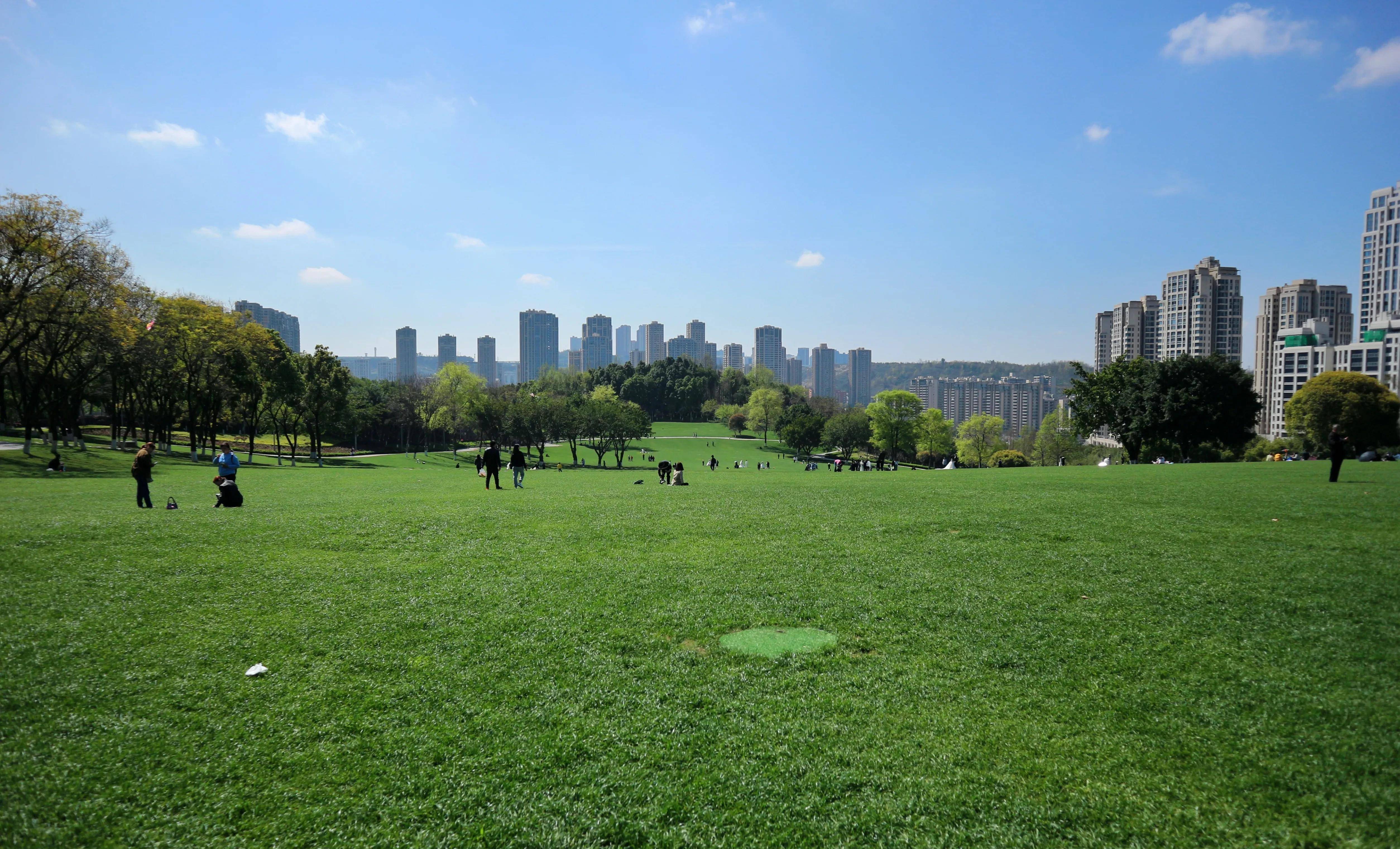 草坪!全是大草坪,重庆中央公园太适合春游了(攻略)