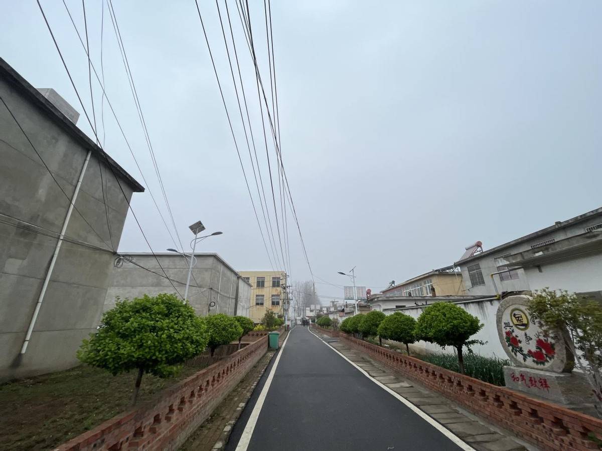 新蔡县练村镇党政班子带领支部书记,包村干部到淮滨观摩学习人居环境