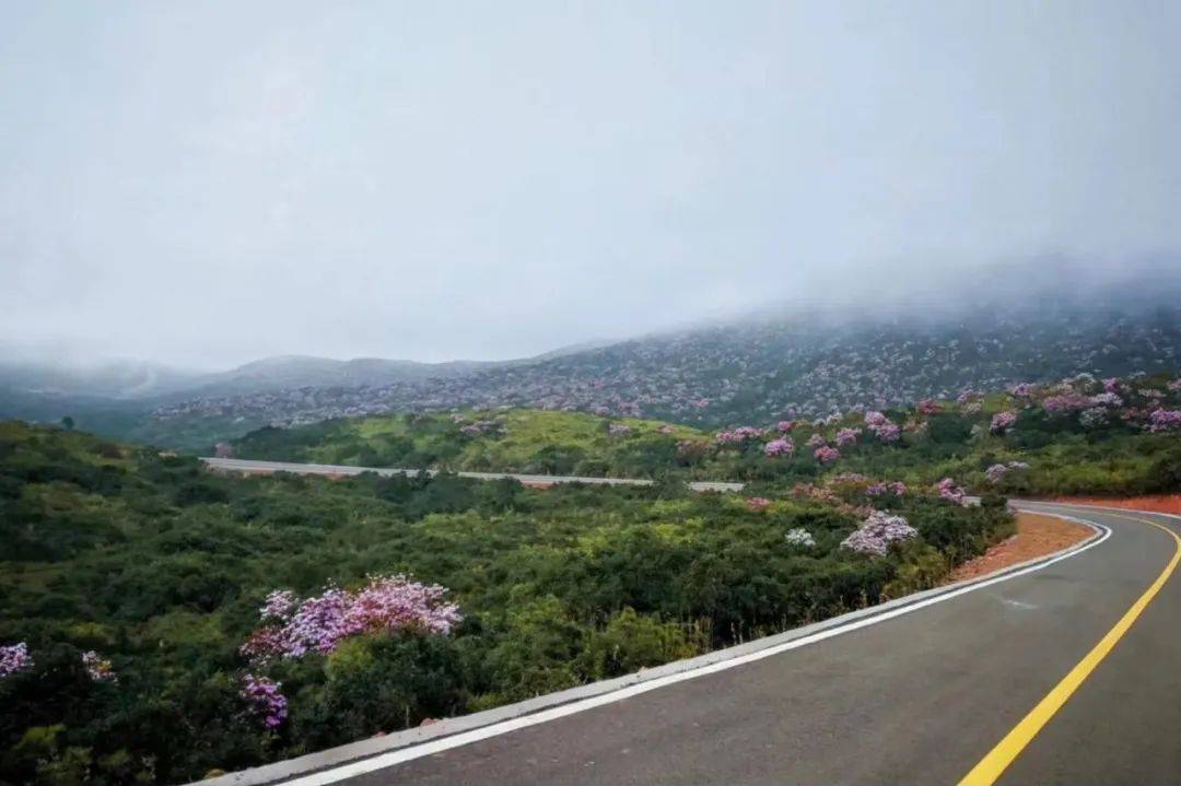 自驾:在导航中搜索昭觉县谷克德(七里坝)景区西距西昌市区约56km东距