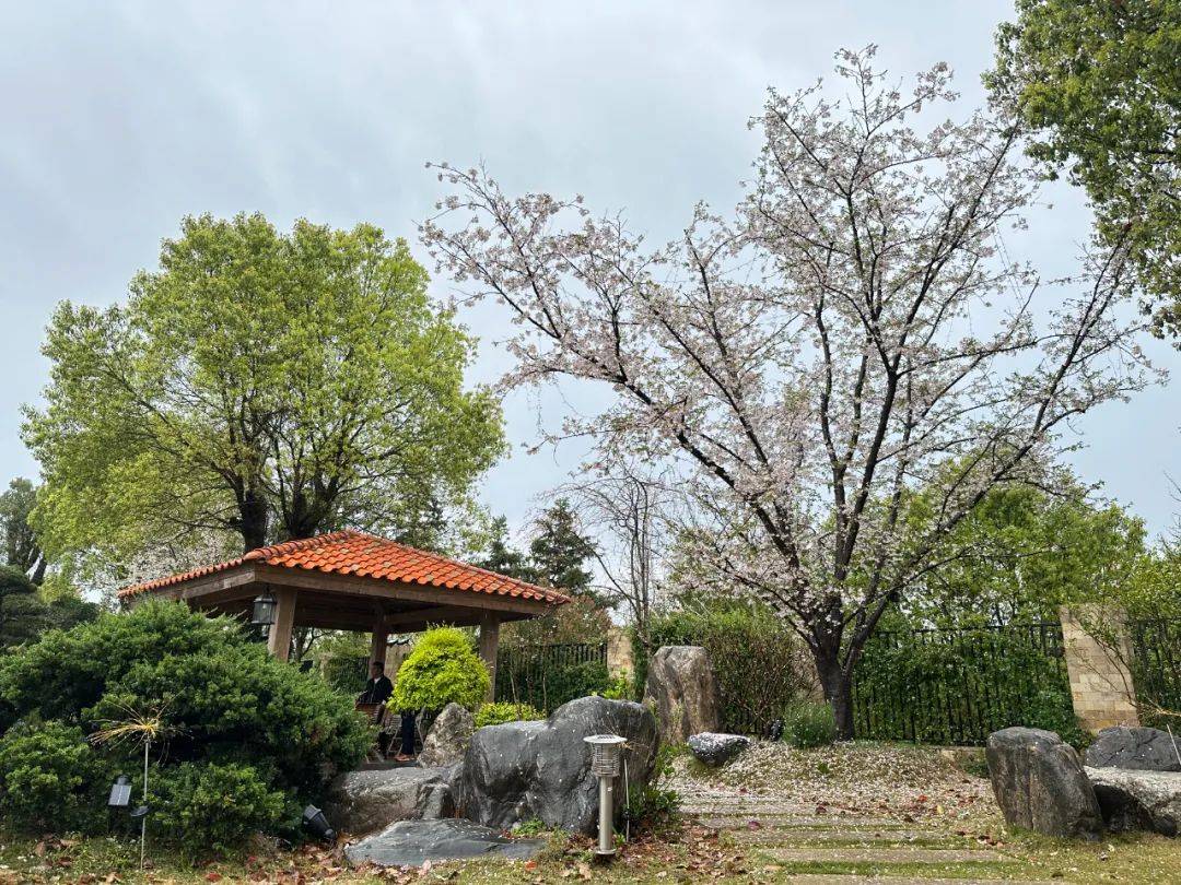 3月23日|广东时尚与零售行业董事长武夷山樱园山庄私享交流行圆满举办