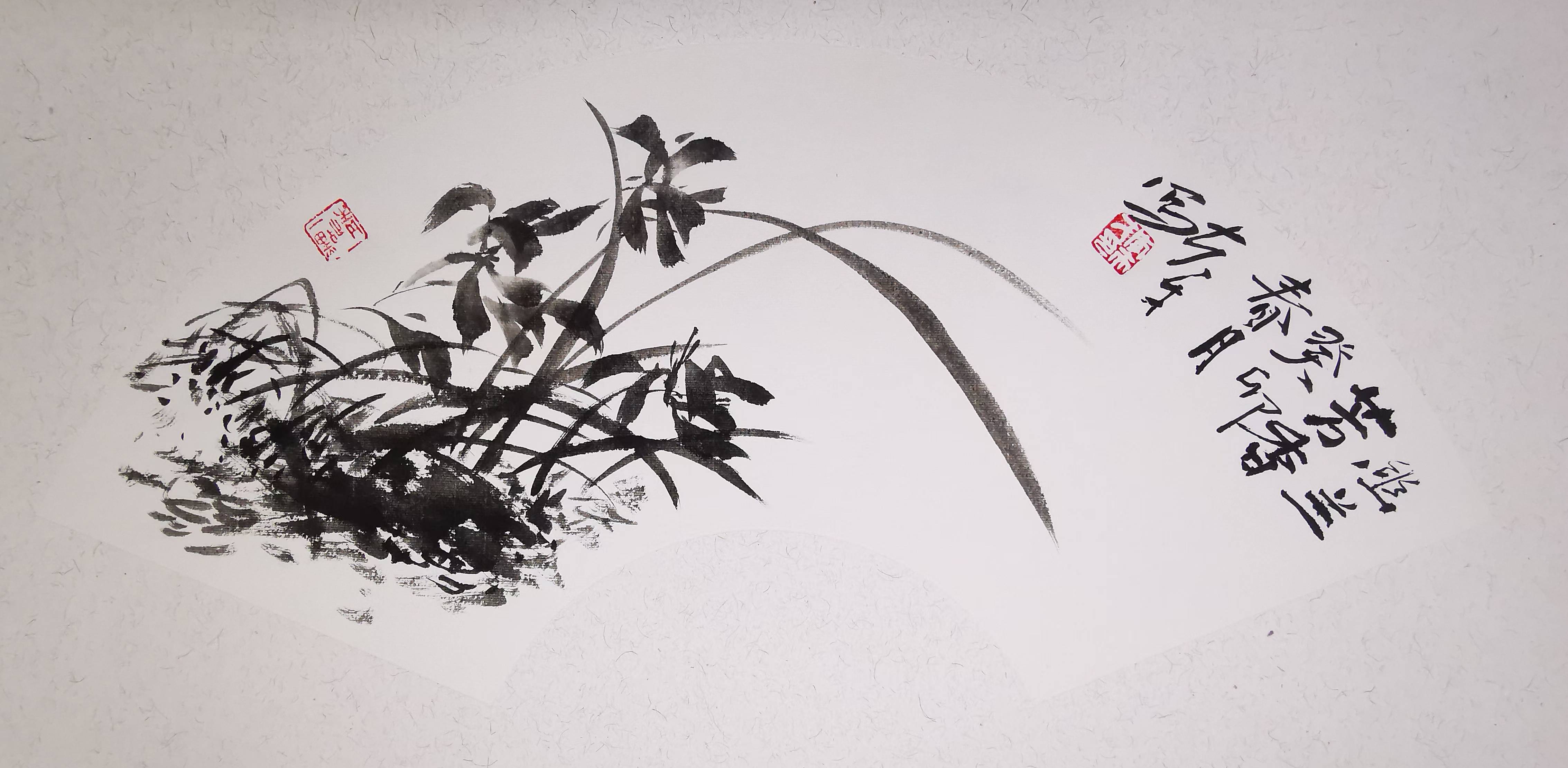 画家李夫才精品大写意扇面一组_荷花_牡丹_白水