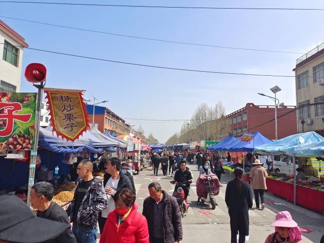 方城县独树镇:物资交流大会有效巩固脱贫攻坚成效_工作_建设_发展