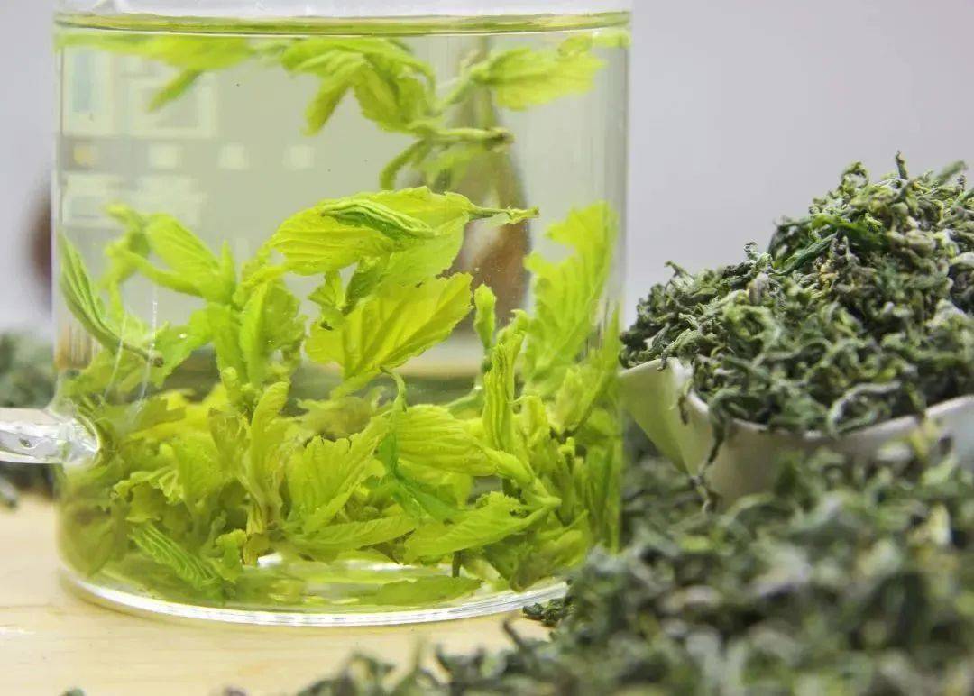 桑茶加盟费多少？揭秘行业现状与投资机遇