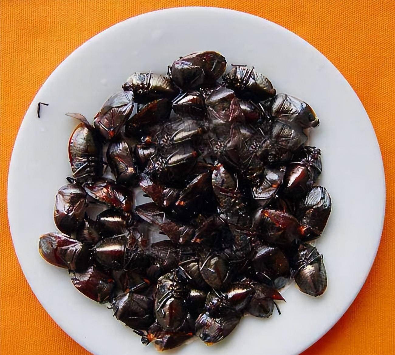 贵州"4大怪菜",全是本地人的心头爱,外地人:真敢吃