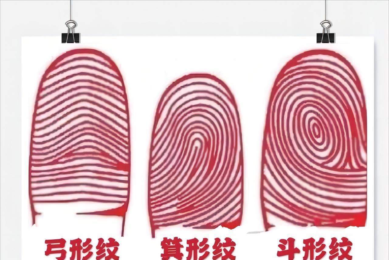 每个人的未来早已注定?