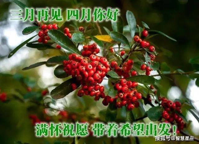 干货分享（骗朋友怀孕文案短句子图片）骗家人怀孕了怎么收场 第3张