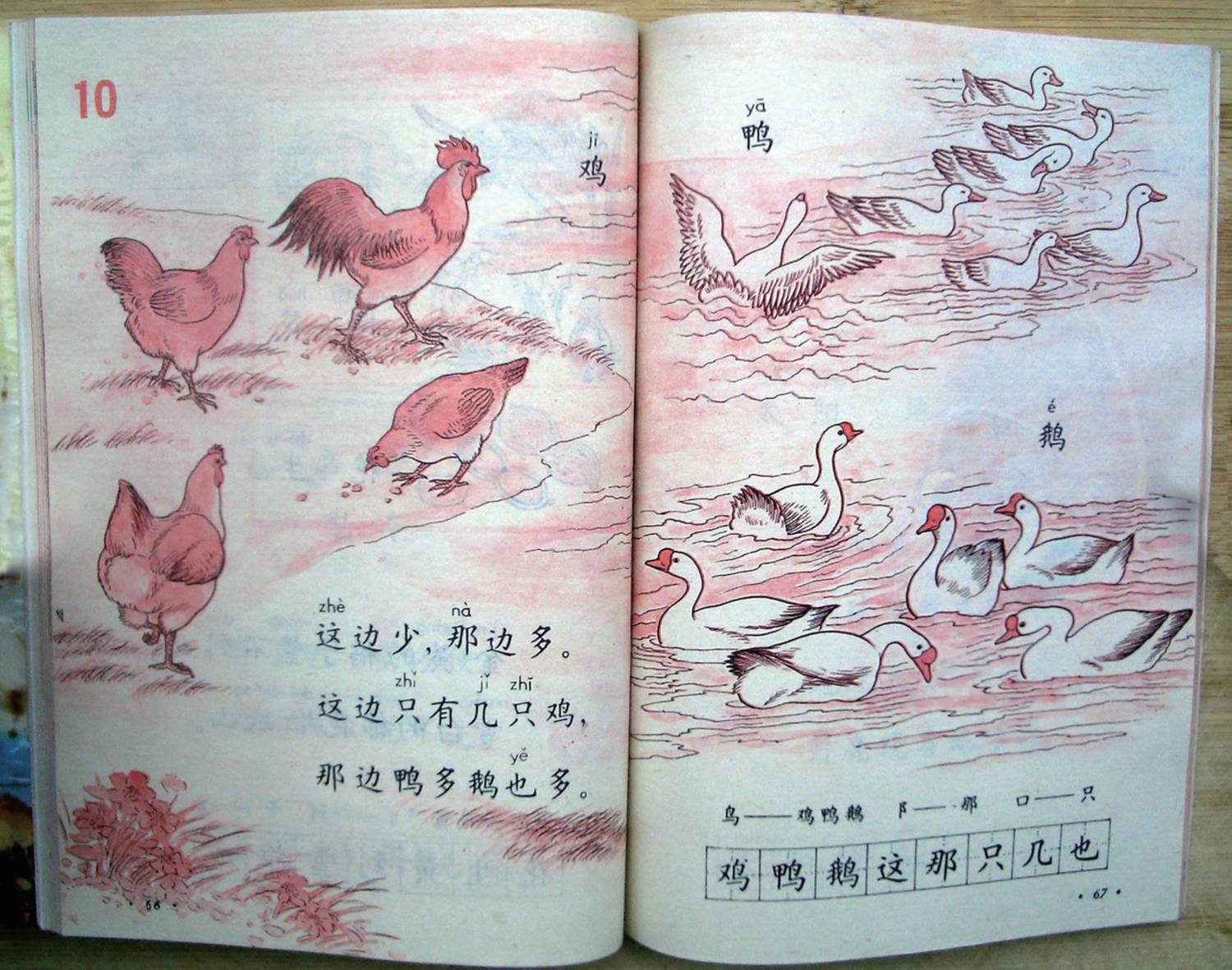 80后小学一年级语文教材第一册还记得吗?_教育_时候_同学