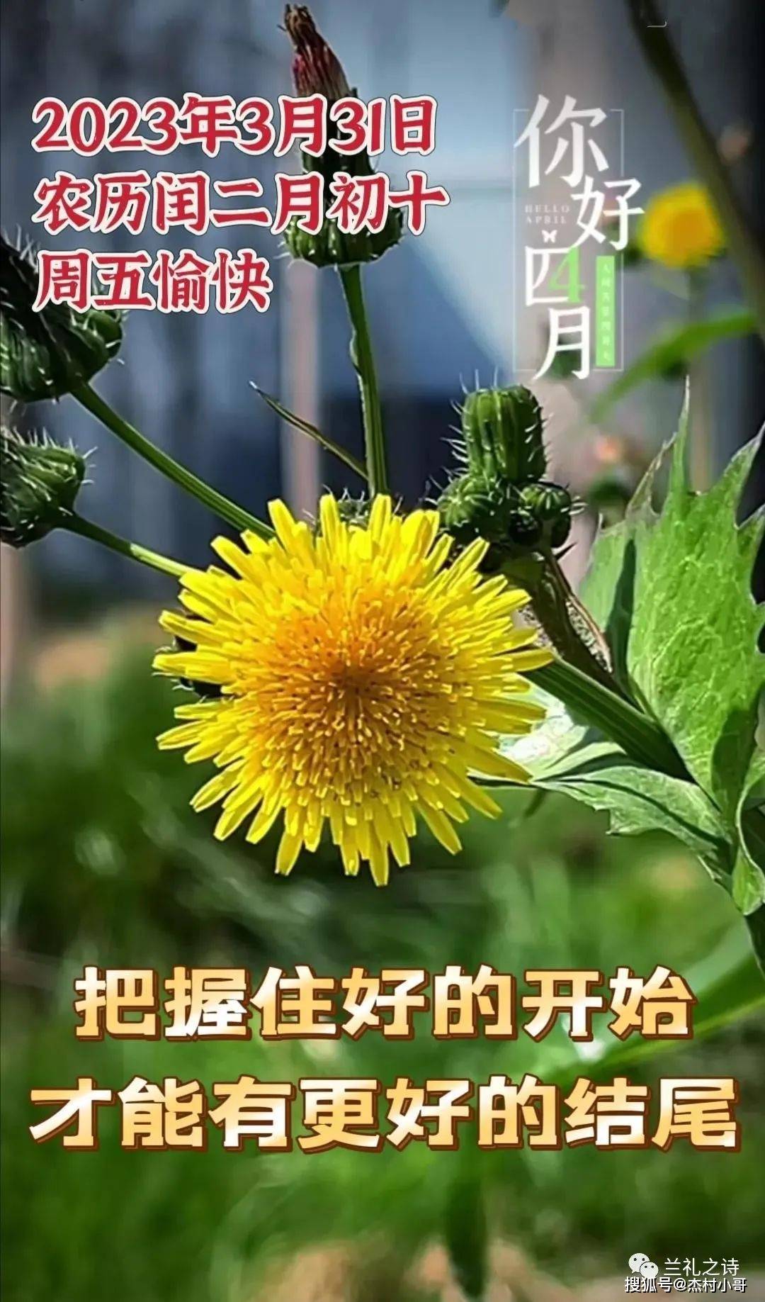 三月再见,四月你好,愿四月吉祥平安!