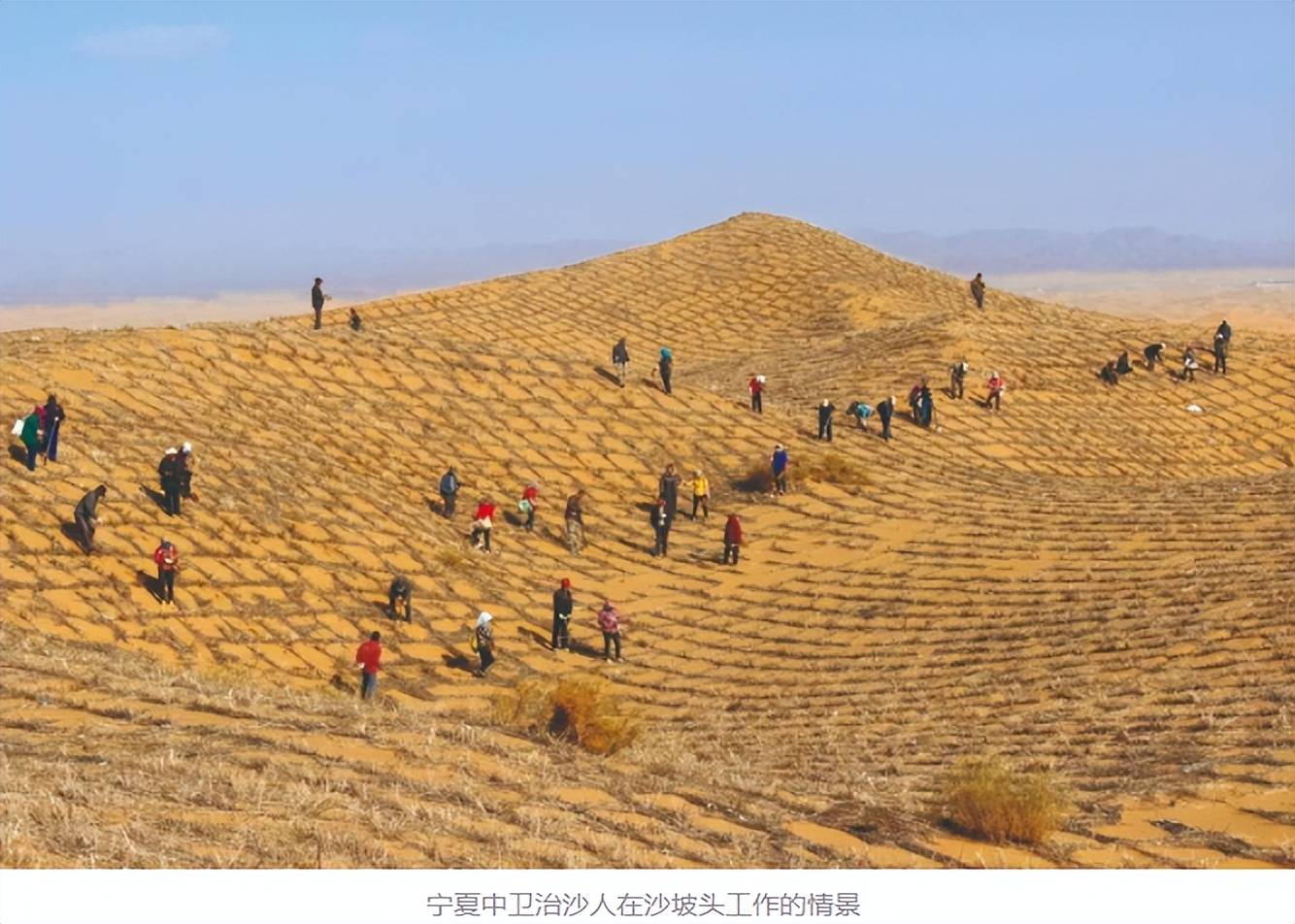 這叫做草方格,是一種非常成熟的防風固沙模式,可以更好的保護水分,在