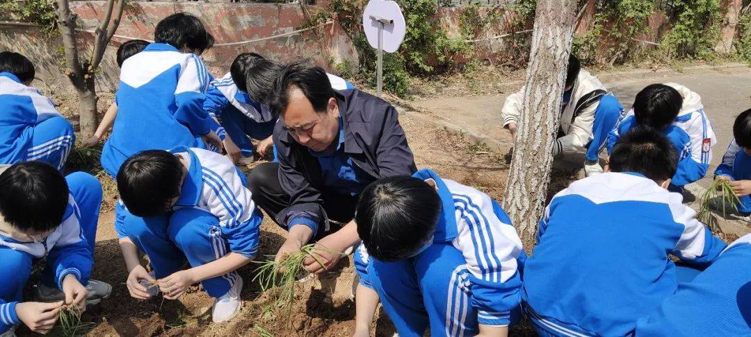 肥乡区三中承办我区第二届中学生劳动技能大赛并获佳绩!