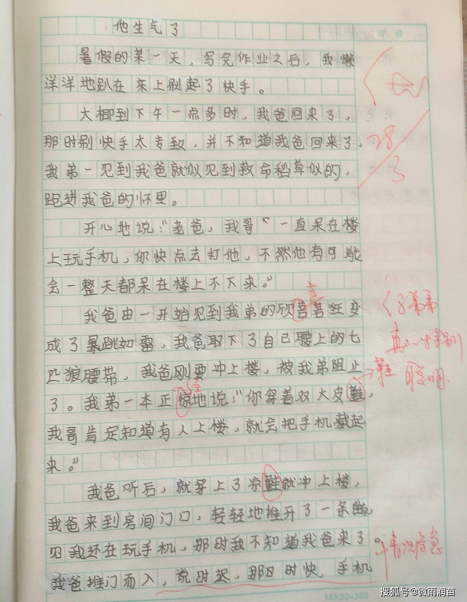 太疯狂了（他生气了作文100字）他生气了作文100字作文大全 第1张