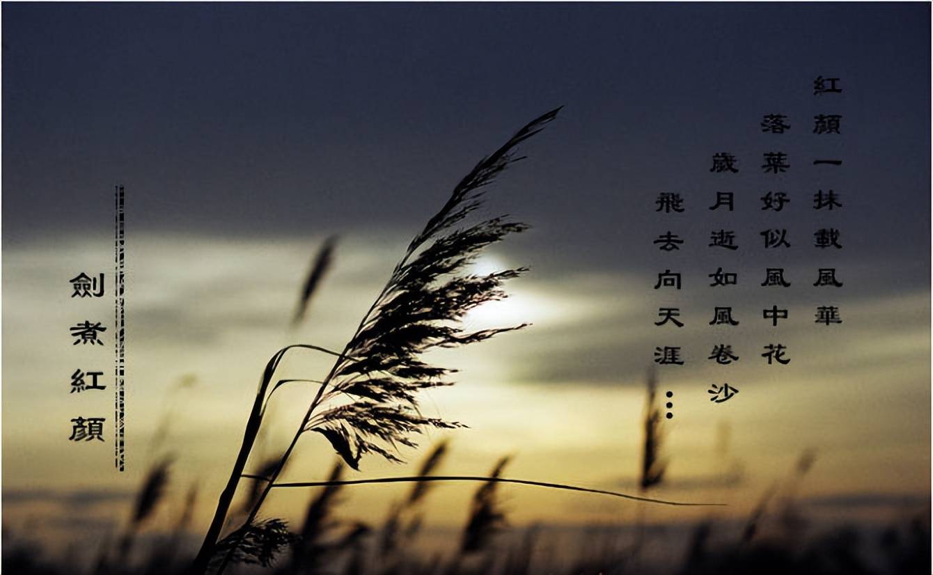 被秋风摧残的斜阳,慢慢收敛起金色的余辉.