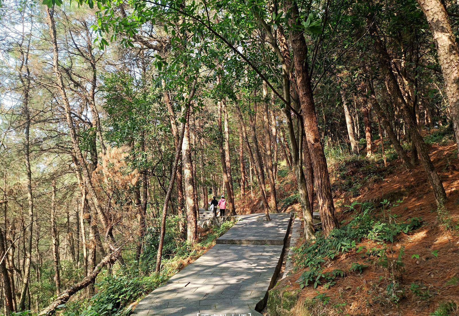 铁山坪登山步道图片