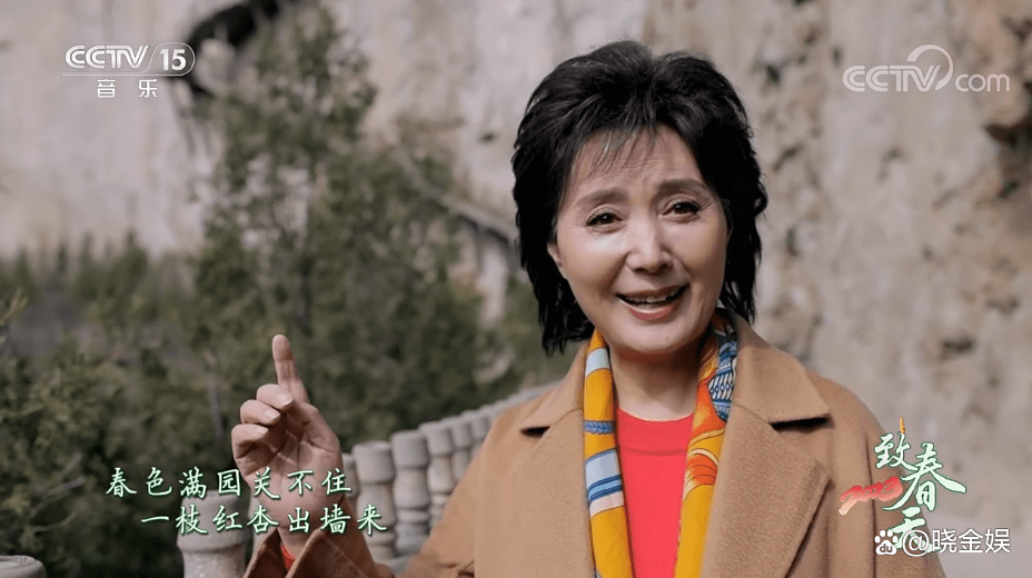 温玉娟:清明踏歌行,首次在央视一台晚会上一口气表演3个诗朗诵_徐涛