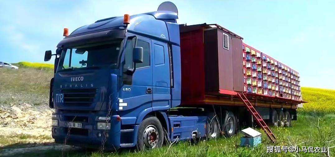 土耳其养蜂房车1次放240箱,智能折叠流水线收蜂蜜,效率提升5倍_移动