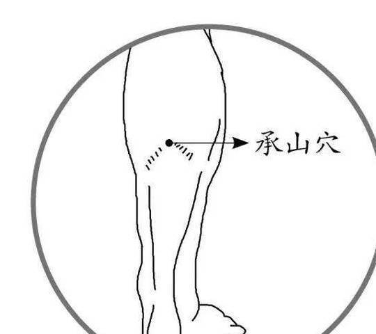 承山穴是十二經絡足太陽膀胱經中的腧穴,它在我們小腿的後區,腓腸肌兩