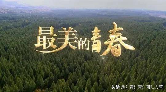 電視劇《最美的青春》,認真學習並努力傳承塞罕壩精神_建設_祖國_衣物