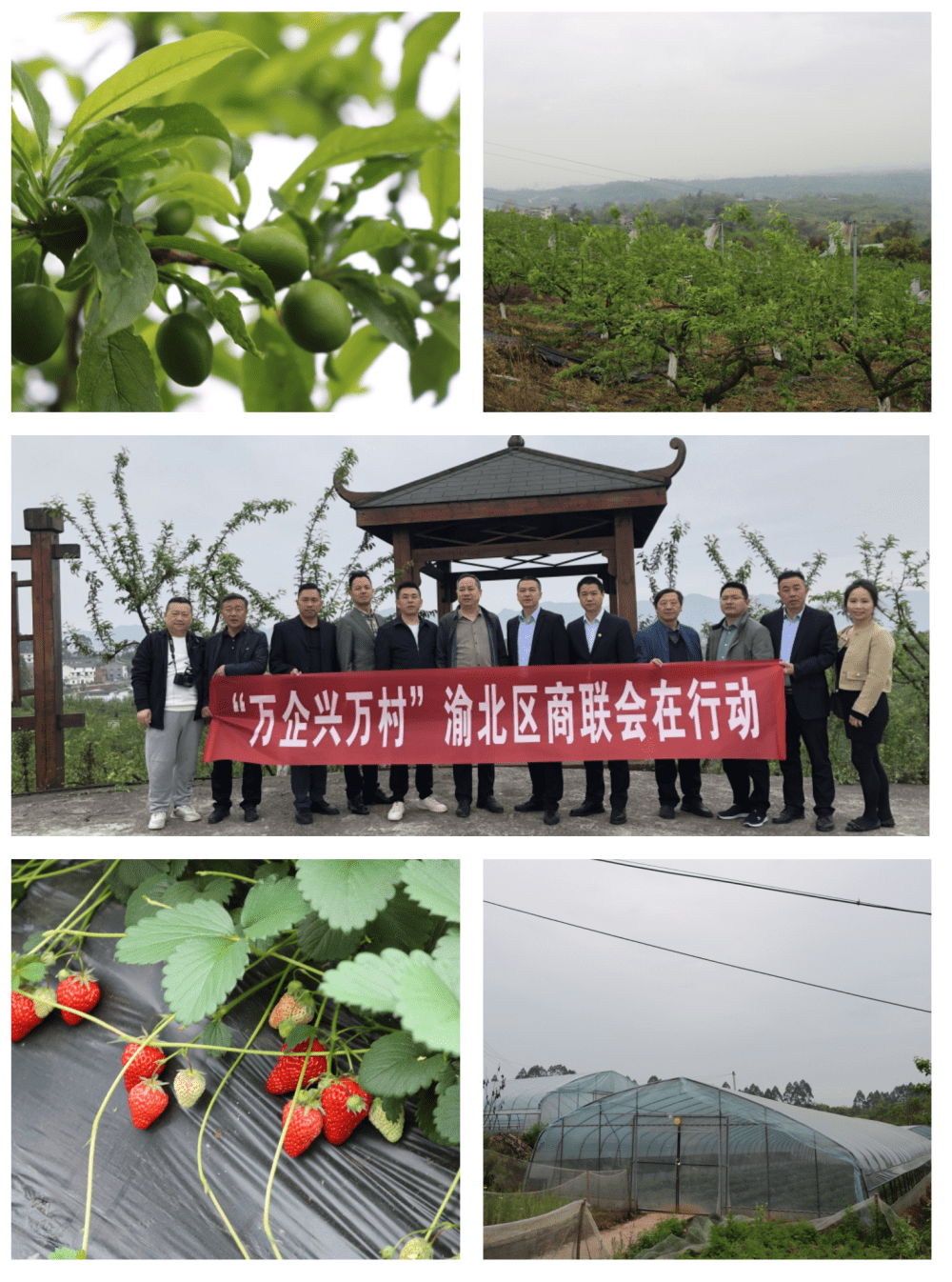 渝北区古路建筑产业园图片