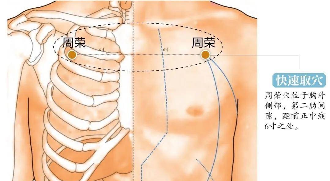 神奇的周荣穴，人身体上的营养穴，调理脾胃治疗吃不下东西的穴位_手机