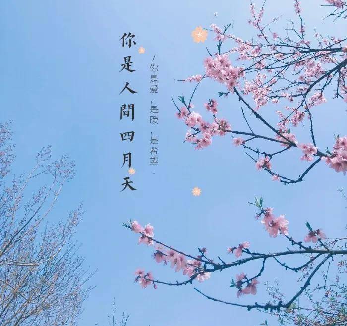 盼望着,盼望着你带我去欣赏美丽的人间四月天_智能_花间_续航