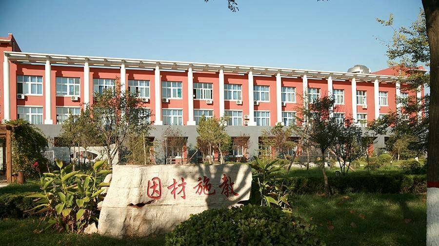 齐河一中园林介绍