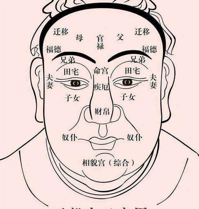 玉環紋指的是手掌下方,手腕與掌心的連線.